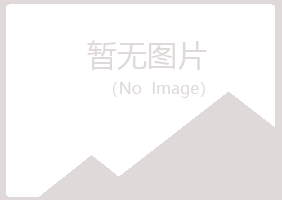 黄山白山邮政有限公司